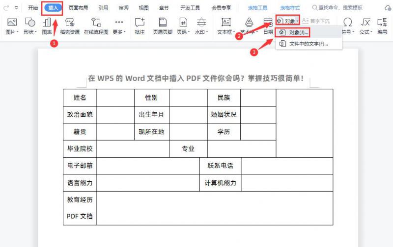 word文档怎么插入pdf（pdf插到word文档里面的方法）