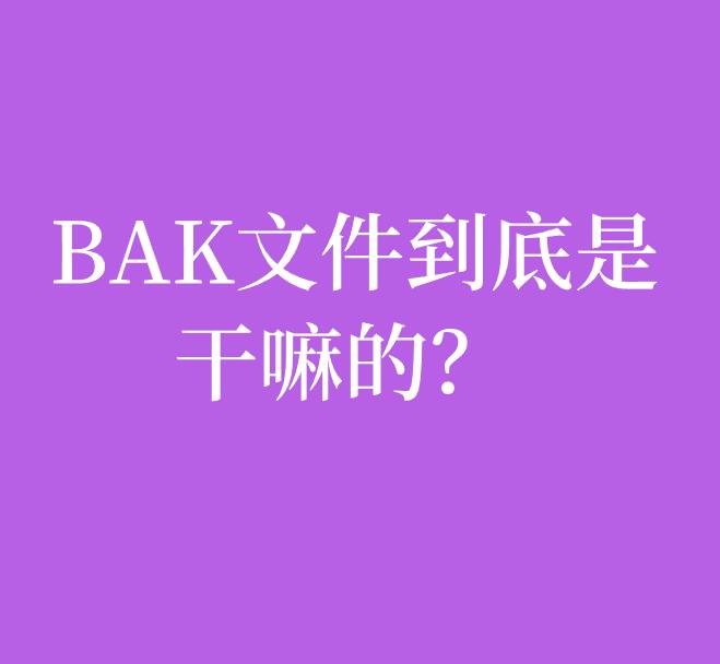 bak文件删了会有什么影响？bak文件可以删除吗？
