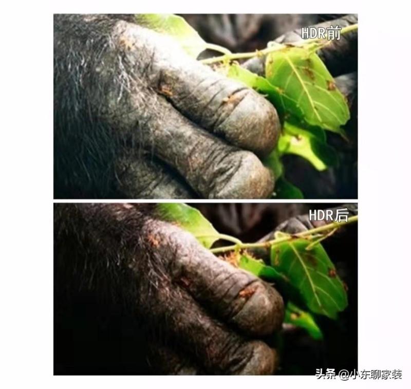 挑选电视主要看哪些参数（电视机选购技巧知识）