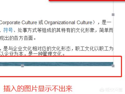 在word里插照片显示不全怎么办？怎样把照片完全嵌入word表格？