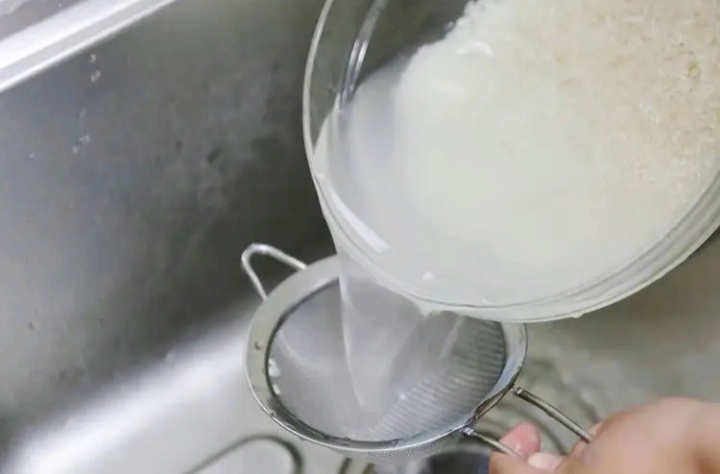 如何使用电饭煲蒸米饭（新手蒸米饭教程）