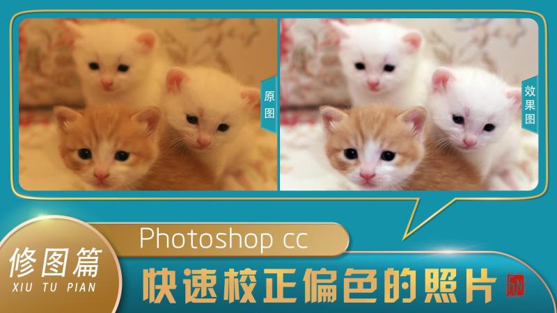 ps怎么智能调色（应用“自动色调”命令调整照片颜色）