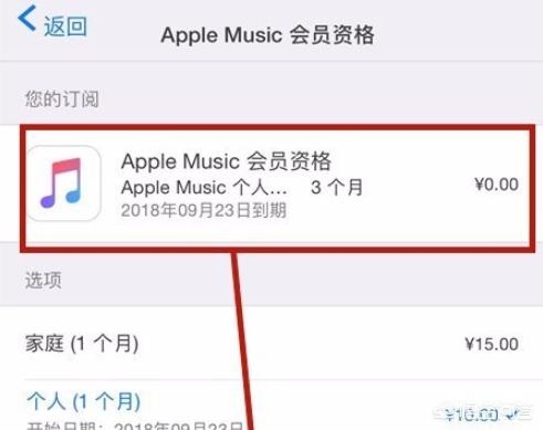 ipad自动续费怎么关闭？